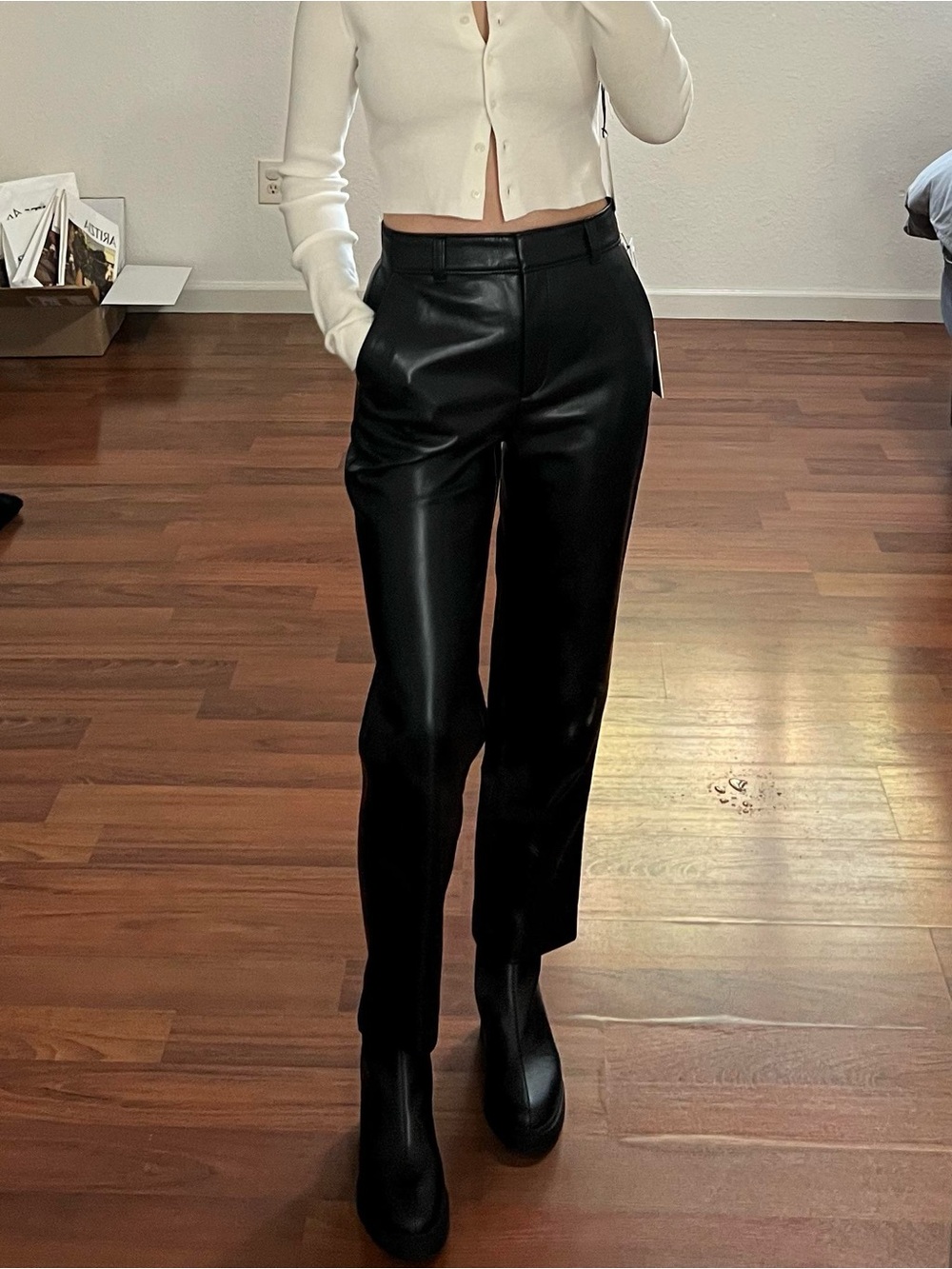 Aritzia Babaton vegan leather pants